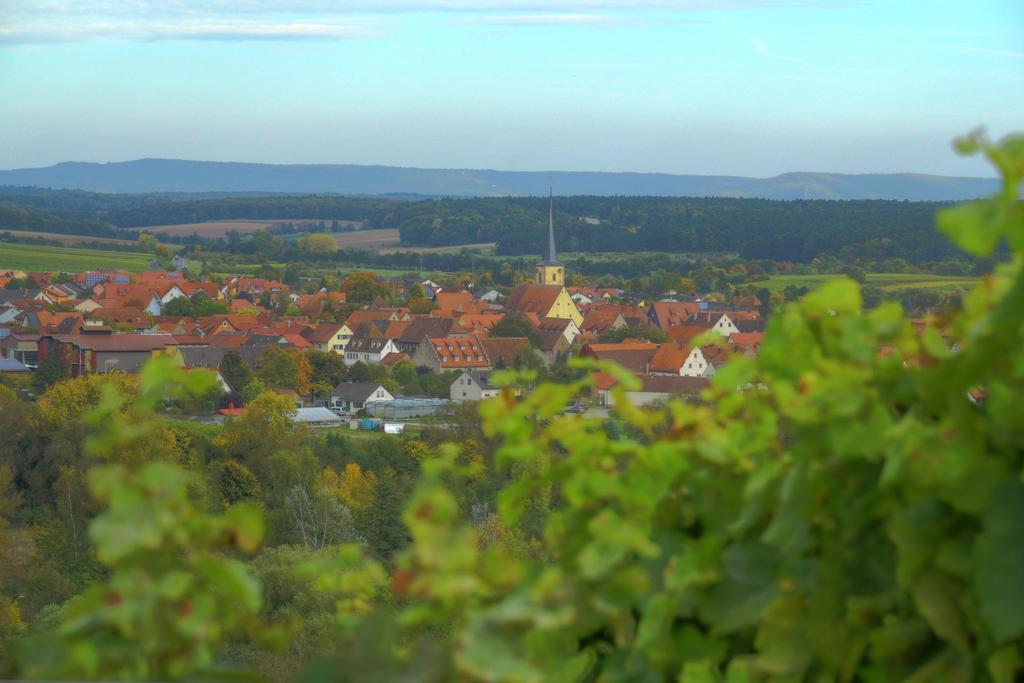 Flair-Hotel Zum Benediktiner Schwarzach am Main Ngoại thất bức ảnh