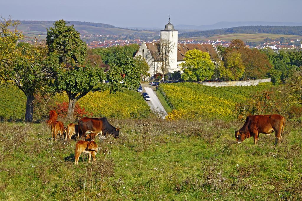 Flair-Hotel Zum Benediktiner Schwarzach am Main Ngoại thất bức ảnh